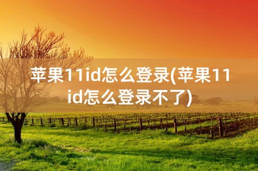 苹果11id怎么登录(苹果11id怎么登录不了)