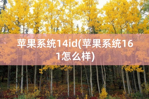 苹果系统14id(苹果系统161怎么样)