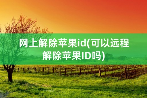 网上解除苹果id(可以远程解除苹果ID吗)