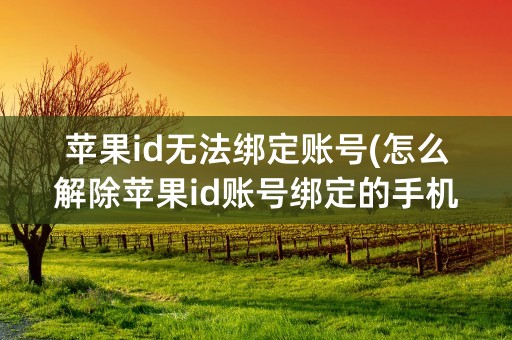 苹果id无法绑定账号(怎么解除苹果id账号绑定的手机号)