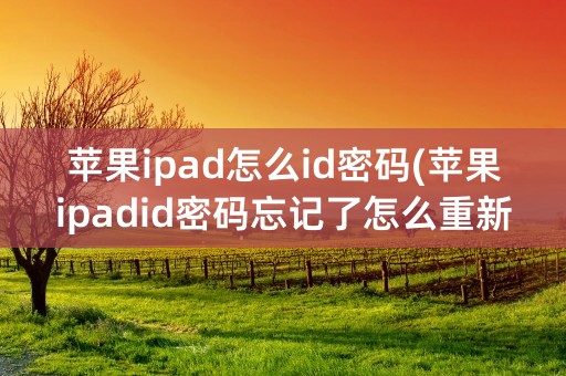 苹果ipad怎么id密码(苹果ipadid密码忘记了怎么重新设置)