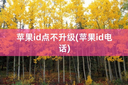 苹果id点不升级(苹果id电话)