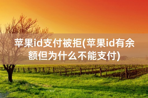 苹果id支付被拒(苹果id有余额但为什么不能支付)