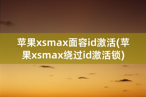 苹果xsmax面容id激活(苹果xsmax绕过id激活锁)