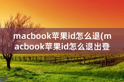 macbook苹果id怎么退(macbook苹果id怎么退出登录)