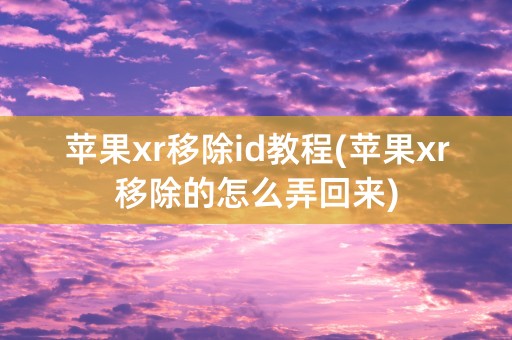 苹果xr移除id教程(苹果xr移除的怎么弄回来)