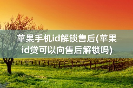 苹果手机id解锁售后(苹果id贷可以向售后解锁吗)