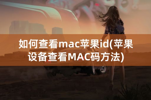 如何查看mac苹果id(苹果设备查看MAC码方法)