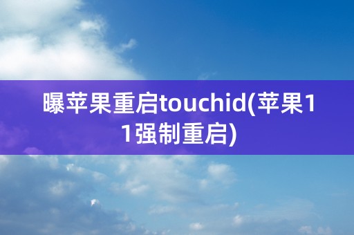 曝苹果重启touchid(苹果11强制重启)