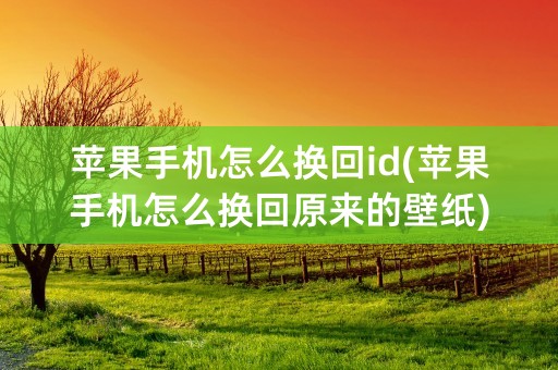 苹果手机怎么换回id(苹果手机怎么换回原来的壁纸)