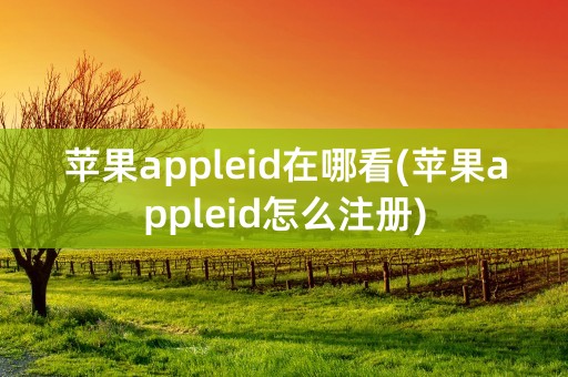 苹果appleid在哪看(苹果appleid怎么注册)