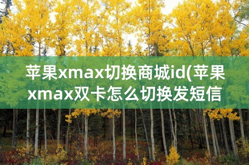 苹果xmax切换商城id(苹果xmax双卡怎么切换发短信)