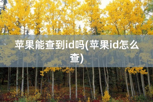 苹果能查到id吗(苹果id怎么查)