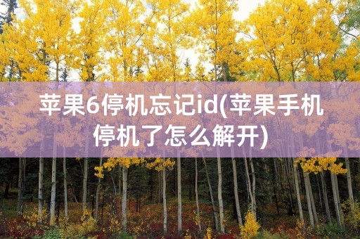 苹果6停机忘记id(苹果手机停机了怎么解开)