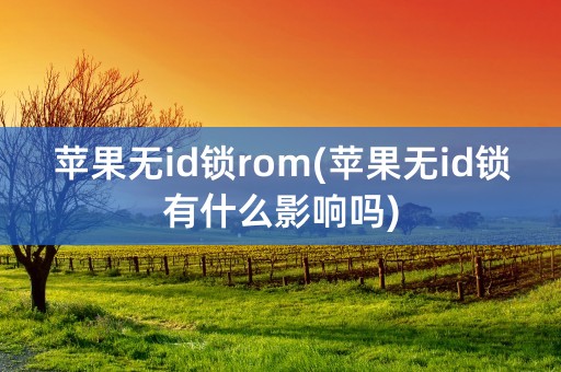 苹果无id锁rom(苹果无id锁有什么影响吗)