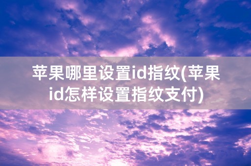 苹果哪里设置id指纹(苹果id怎样设置指纹支付)