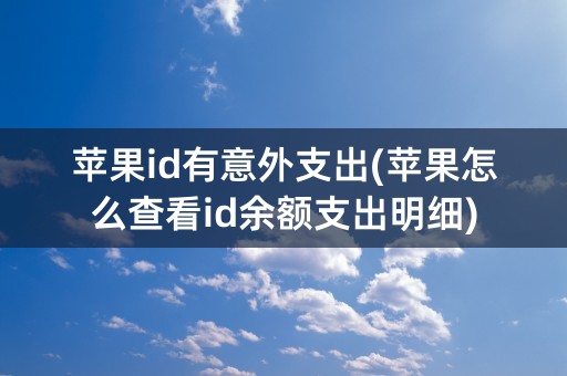 苹果id有意外支出(苹果怎么查看id余额支出明细)