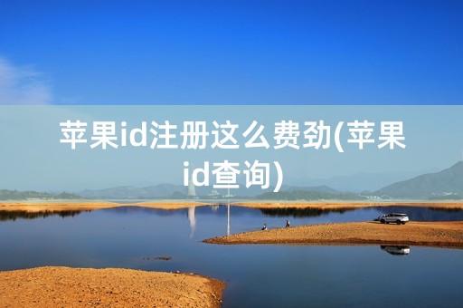 苹果id注册这么费劲(苹果id查询)