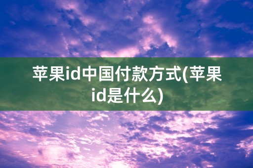 苹果id中国付款方式(苹果id是什么)