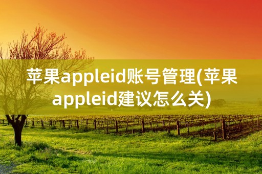 苹果appleid账号管理(苹果appleid建议怎么关)