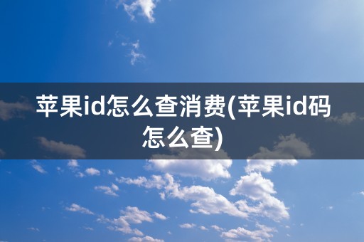 苹果id怎么查消费(苹果id码怎么查)