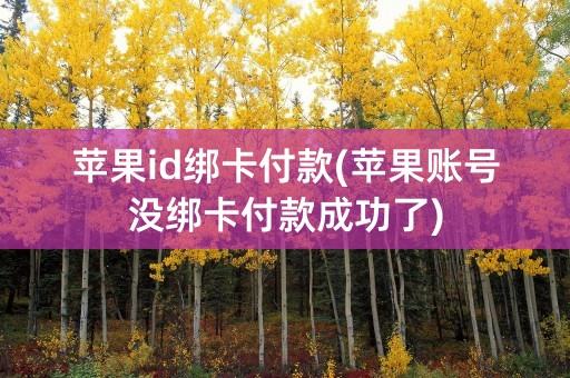 苹果id绑卡付款(苹果账号没绑卡付款成功了)