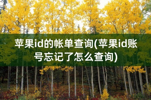 苹果id的帐单查询(苹果id账号忘记了怎么查询)