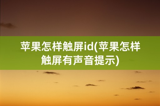 苹果怎样触屏id(苹果怎样触屏有声音提示)