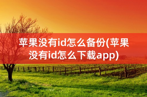 苹果没有id怎么备份(苹果没有id怎么下载app)