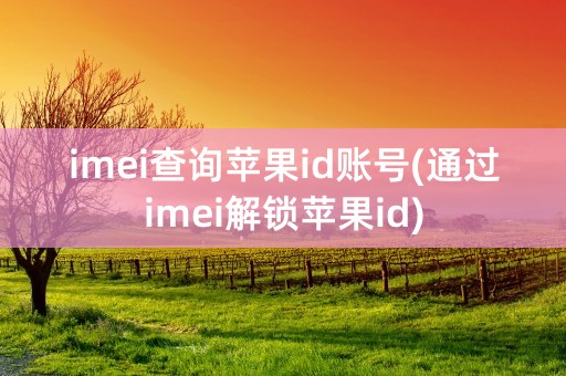 imei查询苹果id账号(通过imei解锁苹果id)