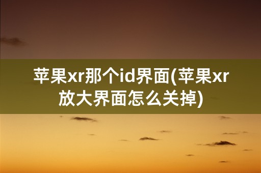 苹果xr那个id界面(苹果xr放大界面怎么关掉)