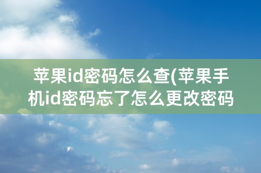 苹果id密码怎么查(苹果手机id密码忘了怎么更改密码)