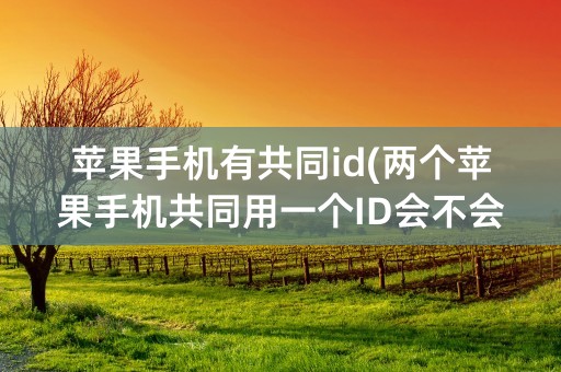 苹果手机有共同id(两个苹果手机共同用一个ID会不会)