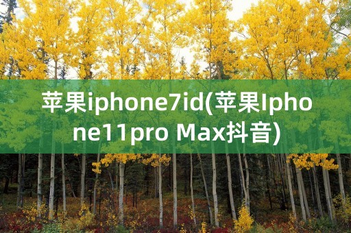 苹果iphone7id(苹果Iphone11pro Max抖音)