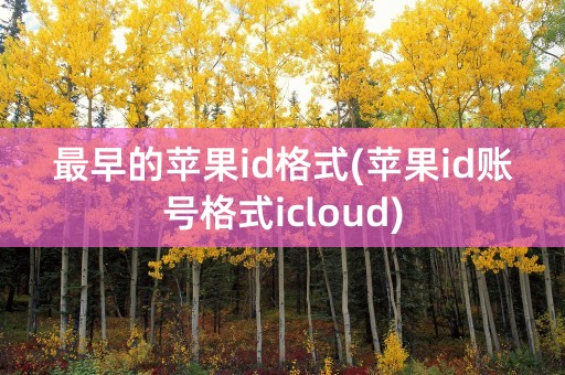 最早的苹果id格式(苹果id账号格式icloud)