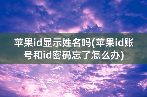 苹果id显示姓名吗(苹果id账号和id密码忘了怎么办)