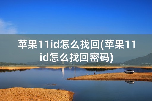 苹果11id怎么找回(苹果11id怎么找回密码)