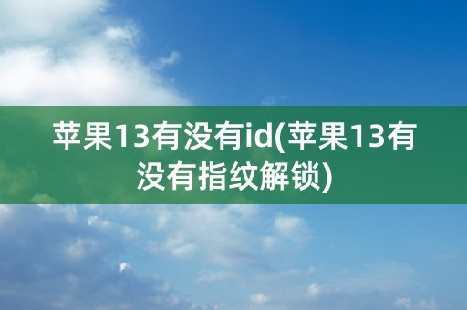 苹果13有没有id(苹果13有没有指纹解锁)