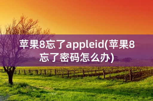 苹果8忘了appleid(苹果8忘了密码怎么办)