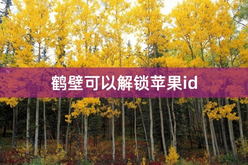 鹤壁可以解锁苹果id