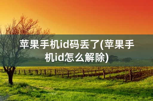 苹果手机id码丢了(苹果手机id怎么解除)