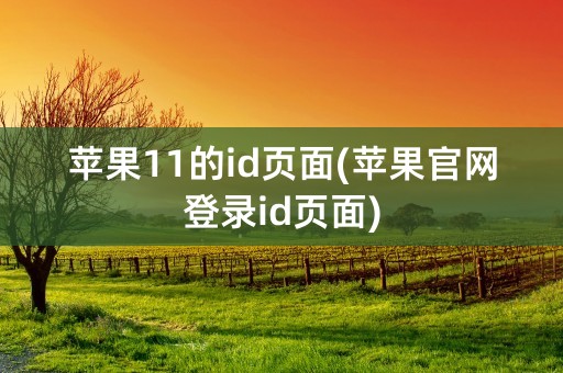 苹果11的id页面(苹果官网登录id页面)