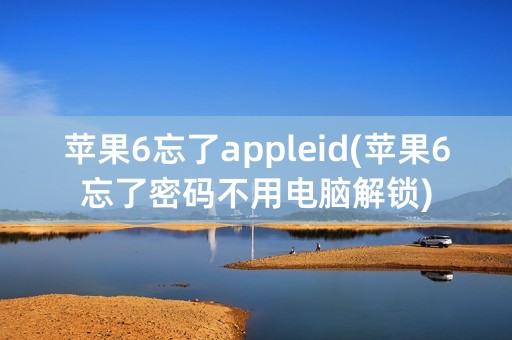 苹果6忘了appleid(苹果6忘了密码不用电脑解锁)