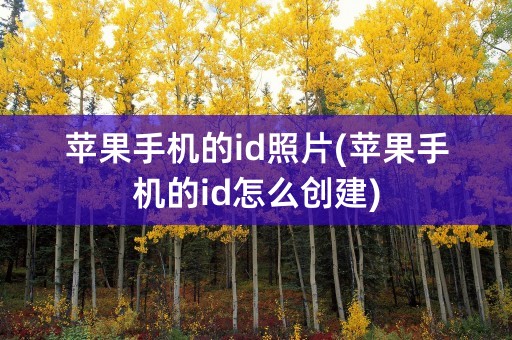 苹果手机的id照片(苹果手机的id怎么创建)