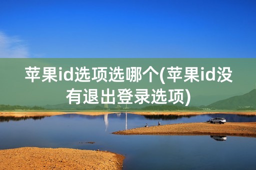 苹果id选项选哪个(苹果id没有退出登录选项)