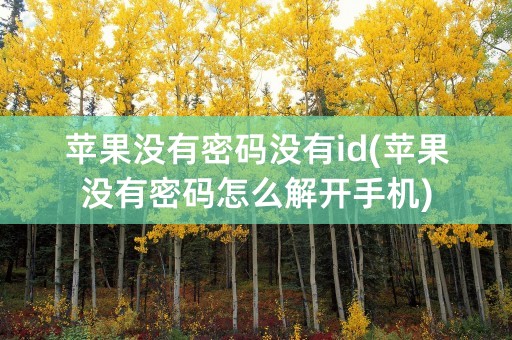 苹果没有密码没有id(苹果没有密码怎么解开手机)