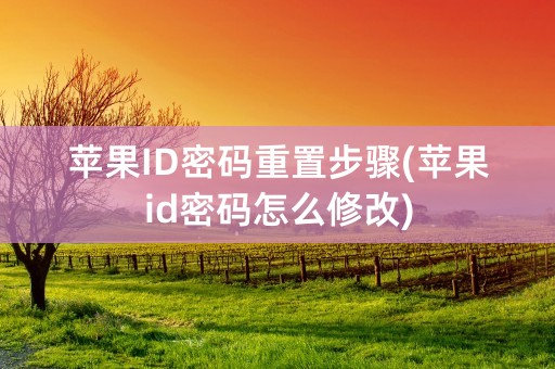 苹果ID密码重置步骤(苹果id密码怎么修改)