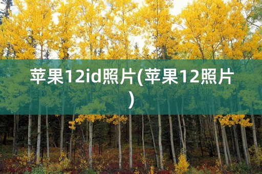 苹果12id照片(苹果12照片)