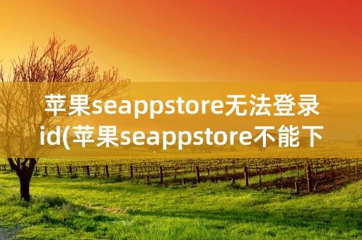 苹果seappstore无法登录id(苹果seappstore不能下载)