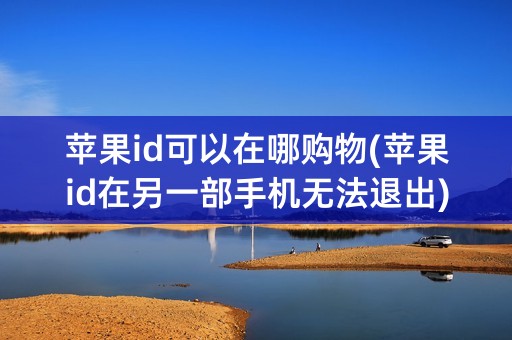 苹果id可以在哪购物(苹果id在另一部手机无法退出)